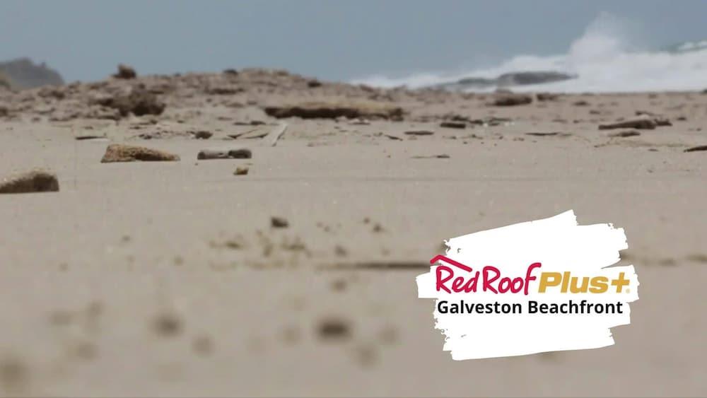 Red Roof Inn Plus + Galveston - Beachfront エクステリア 写真